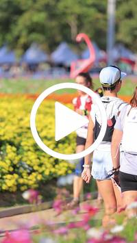 BIB:  <button type="button" onclick="openModal(27588486)" class="btn btn-primary btn-sm float-right" data-toggle="modal" data-target=".modal-high-quality">
                <i class="fa fa-download"></i> Download
                </button>